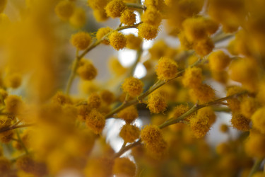 Similar image 22594680