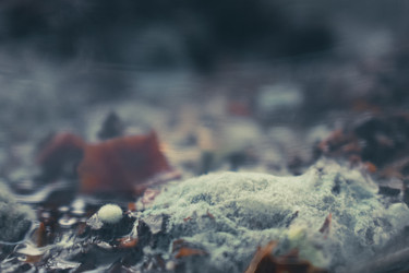 Similar image 22591251