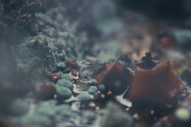 Similar image 22591252