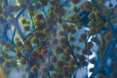 Similar image 22594681