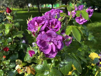 Similar image 22592873