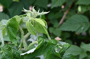 Similar image 22592874
