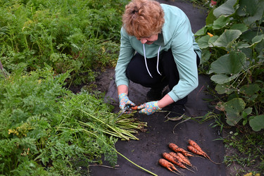 Similar image 22592887