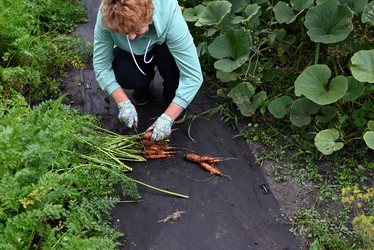 Similar image 22592888