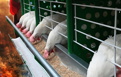 Similar image 22593006