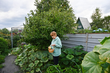 Similar image 22593007