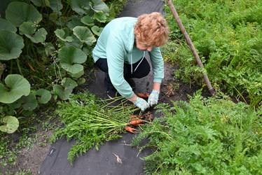 Similar image 22593008