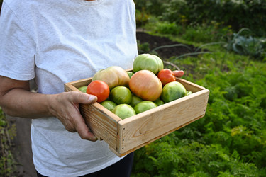 Similar image 22593020