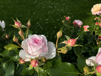 Similar image 22593021