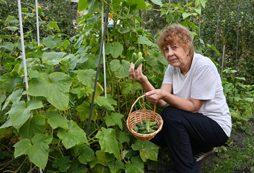 Similar image 22593023