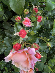 Similar image 22593025