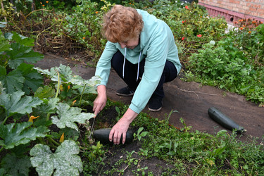 Similar image 22593027