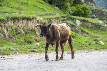 Similar image 22585957