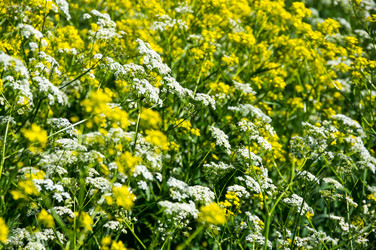 Similar image 22585960