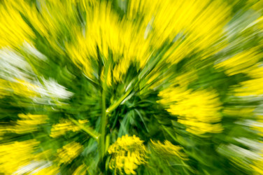 Similar image 22585991