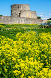 Similar image 22586002