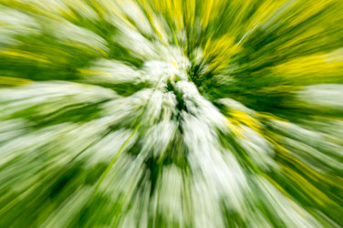 Similar image 22586004