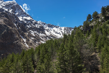 Similar image 22586006