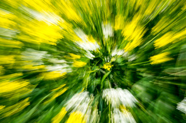 Similar image 22586007