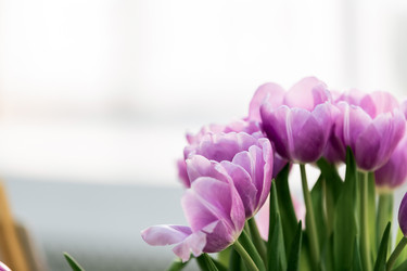 Similar image 22585352