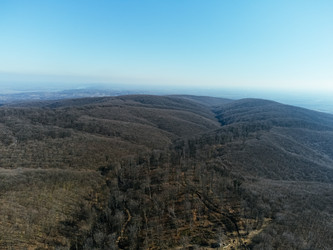 Similar image 22586587