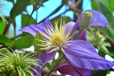 Similar image 22594060