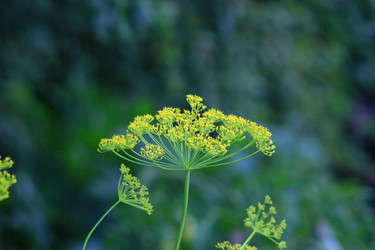 Similar image 22594061