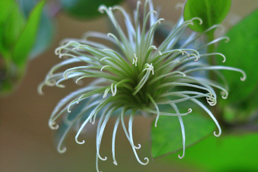 Similar image 22594065