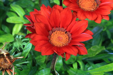 Similar image 22594066