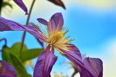 Similar image 22594067