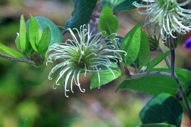 Similar image 22594068
