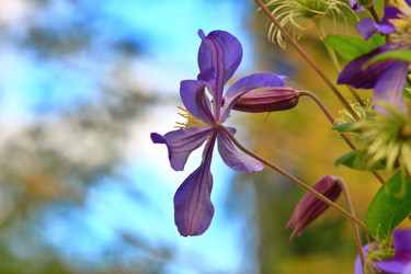 Similar image 22594069