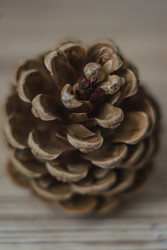 Similar image 22585201