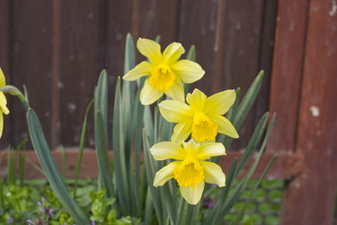 Similar image 22585202