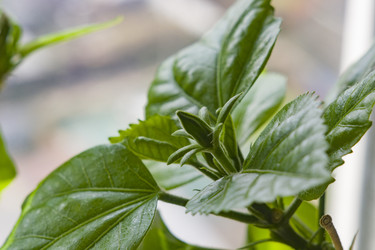 Similar image 22585205