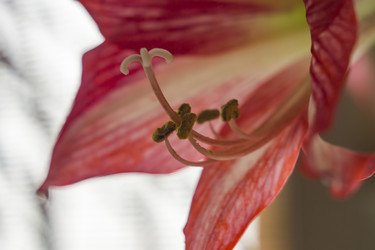 Similar image 22585206