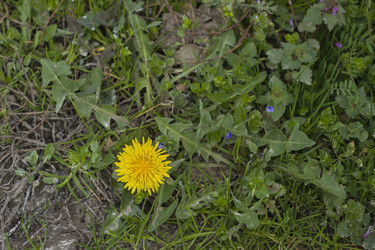 Similar image 22585207