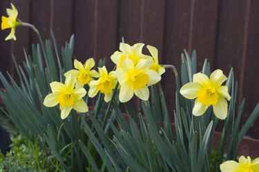 Similar image 22585208