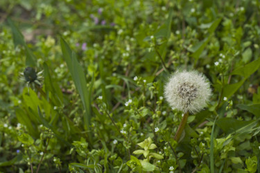 Similar image 22585209