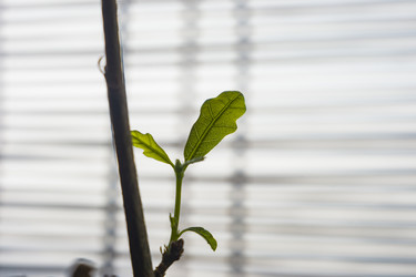 Similar image 22585212