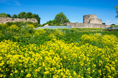 Similar image 22585926