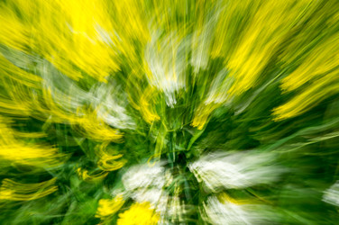 Similar image 22585979