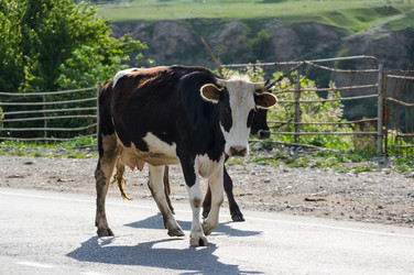 Similar image 22585982