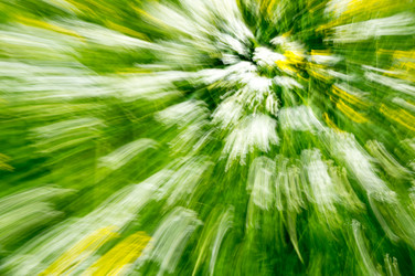 Similar image 22585999