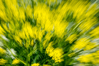 Similar image 22586013