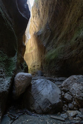 Similar image 22586059