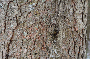 Similar image 22592876