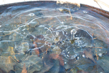 Similar image 22592877