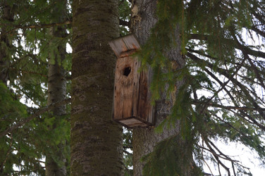 Similar image 22592878