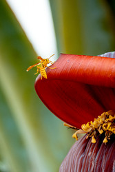 Similar image 22589988